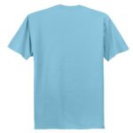 DISCONTINUED  Fruit of the Loom ®  HD Cotton ™  100% Cotton T-Shirt - 