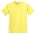 Hanes ®  - Youth Authentic 100%  Cotton T-Shirt - 
