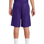 Sport-Tek ®  Youth PosiCharge ®  Mesh Reversible Spliced Short - 