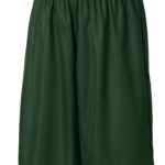 DISCONTINUED  Sport-Tek ®  Youth PosiCharge ®  Mesh Reversible Short - 